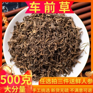 新货车前草500g克包邮全草中药材野车前草茶干水洗车前籽生金钱草