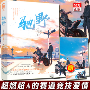 驰野 海报等 大鱼文化女生都市青春文学热血赛车竞技爱情超甜高甜宠文言情小说书籍 赠立卡 丁十三