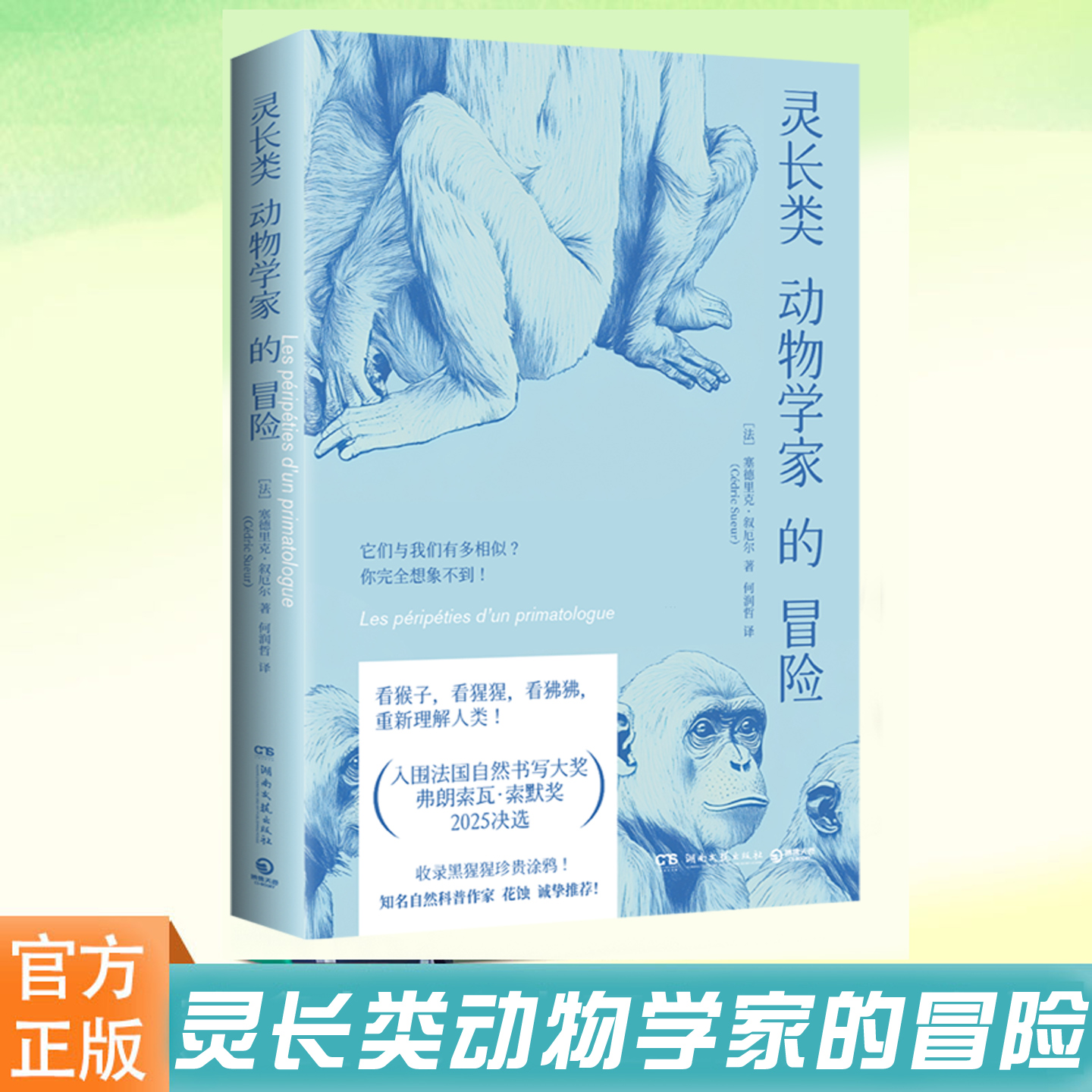 现货正版 灵长类动物学家的冒险 猕猴狒狒和黑猩猩 动物社会世界的旅程 儿童科普读物与绘本 猴子们也会投票合作交易画画等