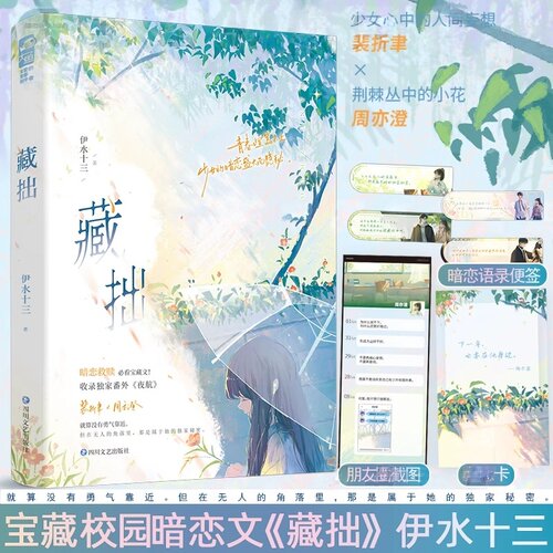现货正版 藏拙 伊水十三 收录番外《夜航》青春文学青春校园初恋暗恋双向救赎双向奔赴酸涩爱情言情小说实体书