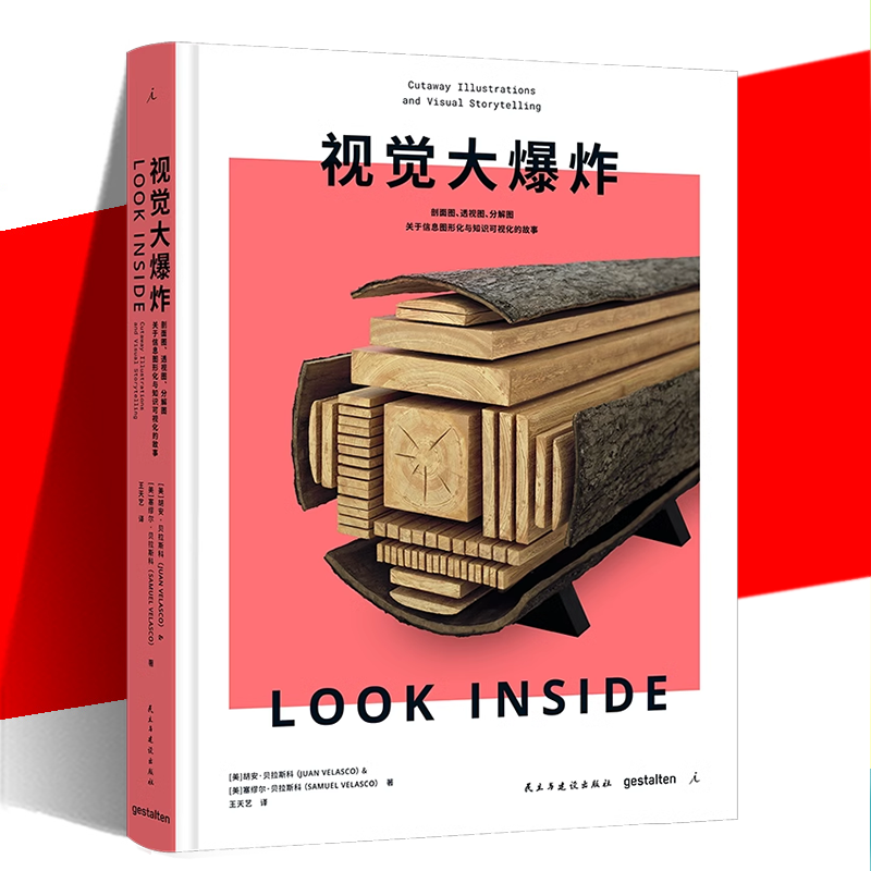 视觉大爆炸胡安·贝拉斯科