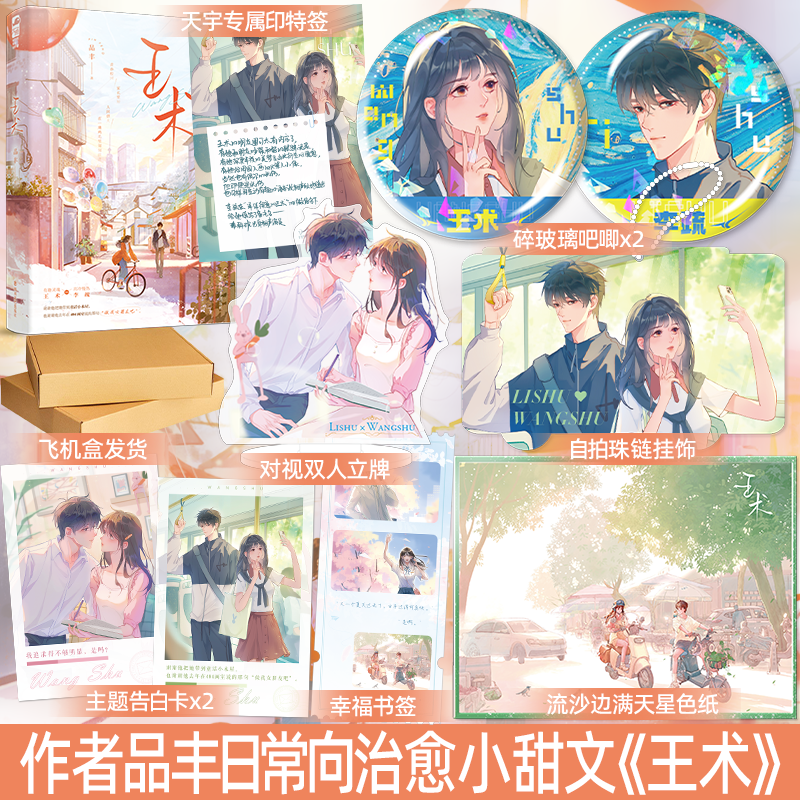 印特签 正版 王术 品丰 新增番外  青春校园家长里短日常温馨治愈向小甜文言情小说实体书籍
