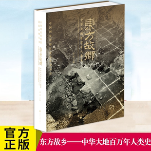 时代华文 高政著 YS正版 东方故乡——中华大地百万年人类史