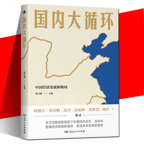 正版现货 国内大循环 中国经济发展新格局 张占斌主编 何毅亭黄奇帆等 中国道路发展趋势 经济理论发展书籍