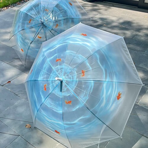 古早金鱼梦境长柄磨砂晴雨伞小众ins风高颜值学生便携加固透明伞