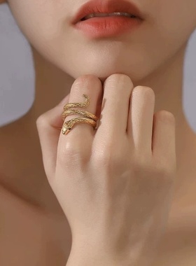 缠绕蛇形戒指欧美蛇形动物指环复古设计嘻哈食指甜酷风不锈钢手饰