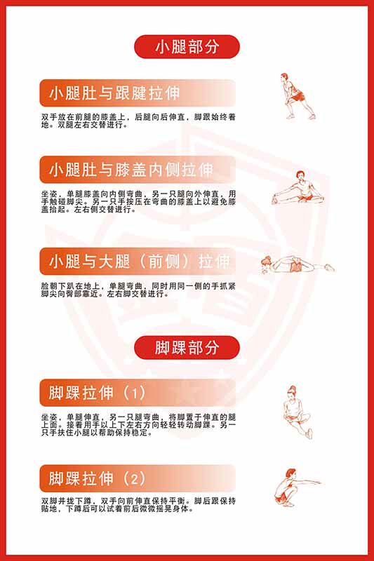770运动拉伸的20个经典动作小腿部分脚踝示意图贴纸挂图海报2212