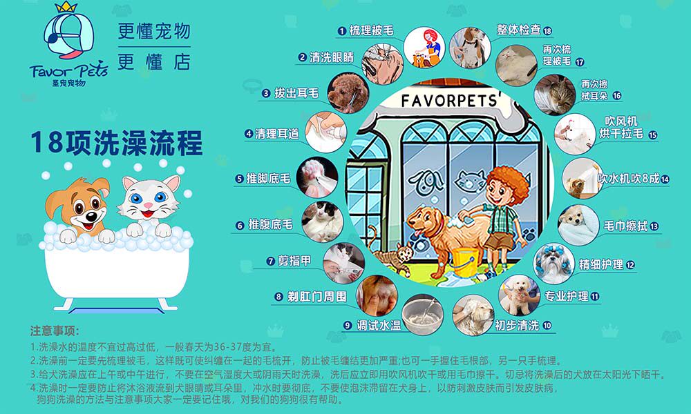 770猫狗宠物店洗护澡流程图注意事项告知墙贴纸挂图海报印制2134