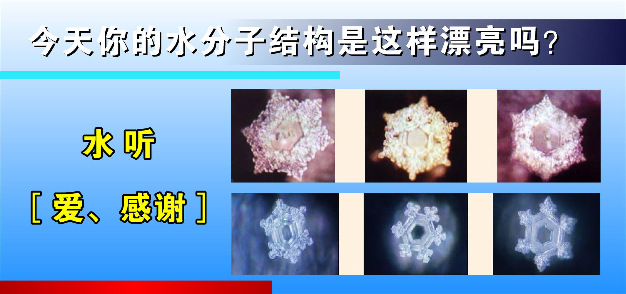 590画布海报展板喷绘贴纸图片211化学生物水分子结构