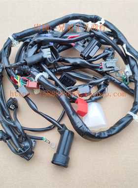 新大洲本田配件SDH110T-3 NS110i主线束大线全车线32100-K48 -D02