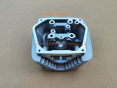 新大洲本田125-65锐猛气缸头