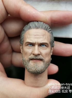 1/6 创战纪TRON Legacy 凯文弗林头雕 兵人配件大胡子大叔