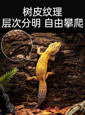 香槟木树皮 蜘蛛守宫蜥蜴躲避饲养箱造景树皮背景火玫瑰蜘蛛躲避