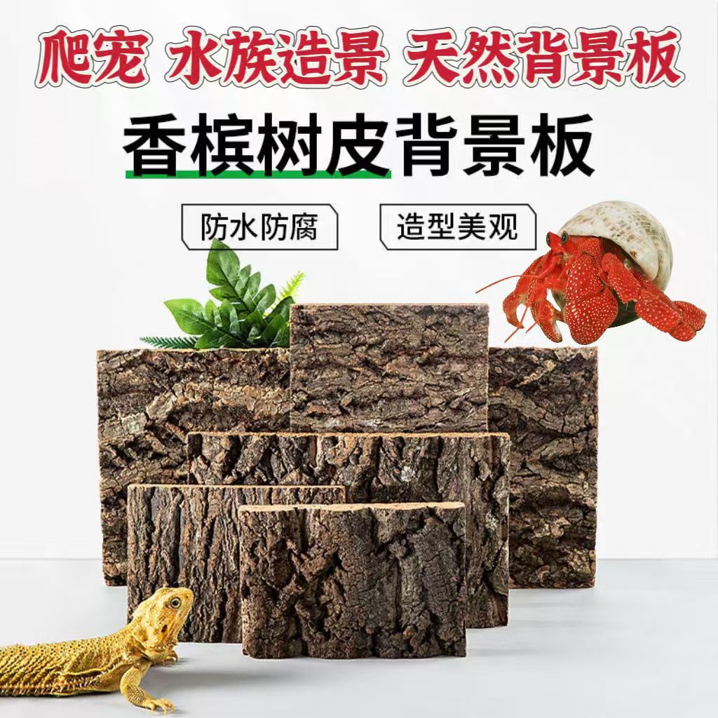 香槟木树皮 蜘蛛守宫蜥蜴躲避饲养箱造景树皮背景火玫瑰蜘蛛躲避