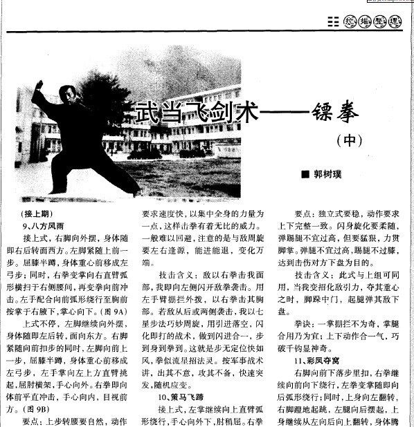 修真功法修仙-武当飞剑术——镖拳（中）|msdalam kategori Kamus elektronik/buku kertas elektronik/alat tulis, Tulis lain-lain - dari Buy2taobao.com untuk memberikan perkhidmatan ejen Taobao profesional membeli
