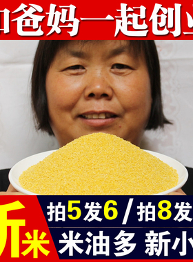 【拍5发6份】2025年新小黄米250g吃的小米粥五谷杂粮黄米月子米A