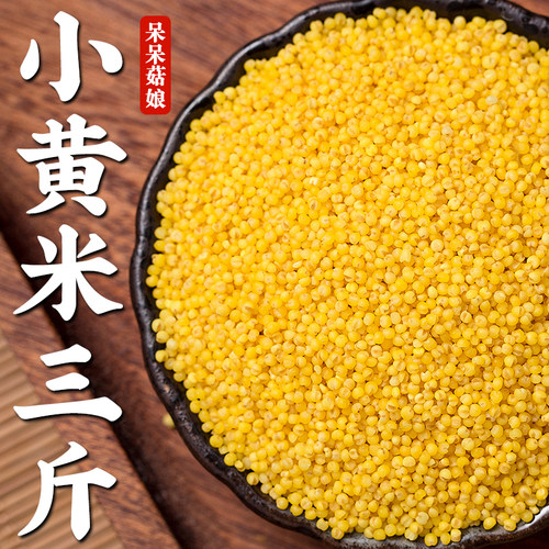 【热销】小黄米3斤油小米黄米粒黄小米谷子米早餐粥煲汤五谷杂粮