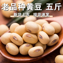 非转基因黄豆5斤土黄豆黄大豆笨豆子豆浆专用豆豆腐原料 严选