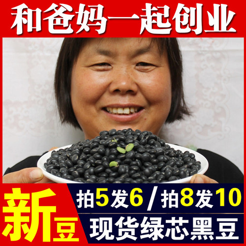 【拍5发6拍8发10】绿芯黑豆250g
