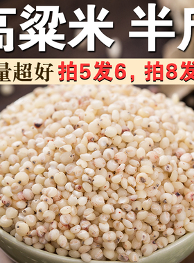 高粱米250g食用高粱米粗粮杂粮红高粱熬粥煲粥打豆浆焖饭食材A