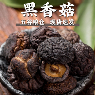 规格齐全 黑香菇金钱菇花菇冬菇金钱菇小香菇干香菇煲汤炖排骨