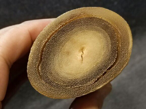老角一个,竹丝纹,鱼子纹,特征明显,藏友委托寄售