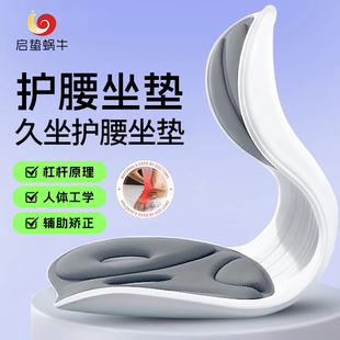人体工学护腰坐垫久坐护腰神器靠背垫腰靠腰部支撑矫正坐姿防驼背