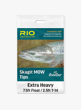 现货 RIO Skagit Mow Tips Light（T-8） 双手前端线 淡水 海水