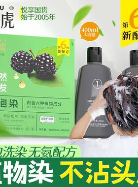 瑞虎泡泡染一洗黑洗染香波