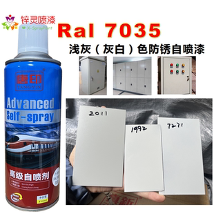 唐印定制Ral7035灰白色浅灰色文件柜机电箱控制柜自喷漆手摇喷漆