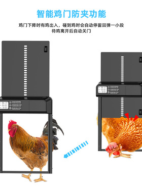 Autotic Chicen Cop Dor跨境鸡舍门可自动定时鸡窝关门宠物鸡笼门