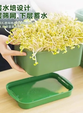 神器四季大号育苗豆芽发芽新鲜托盘食品级水培盆全自动吃