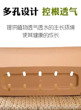 阳台花盆郁金香花槽花箱长方形塑料长条种植波浪边种菜盆大号