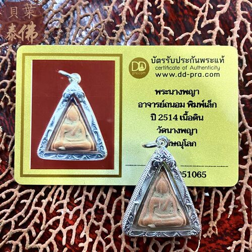 贝叶泰佛2514南帕亚小模D卡包邮