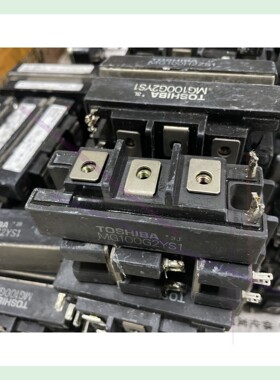 MG100G2YS1 MG100H2ZS1 MG100J2Y