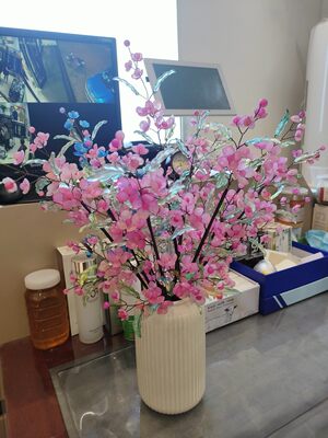 成品果冻渐变色粉色10支杜鹃花手工串珠花假花摆件亚克力材质