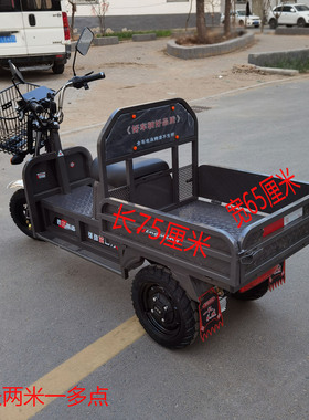 电动带兜折叠三轮车长跑电瓶代步车家用农用货车载重王拉货大力神