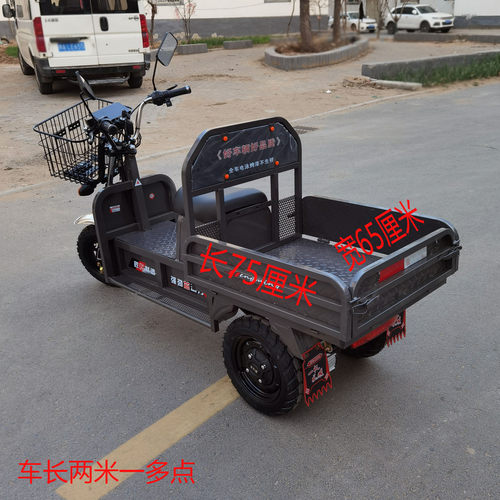 家用代步车农用代步电动小三轮车