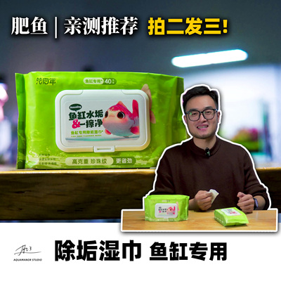 鱼缸清洁专用湿巾玻璃清洁除垢大包纯水湿巾水垢清除剂去水渍水垢