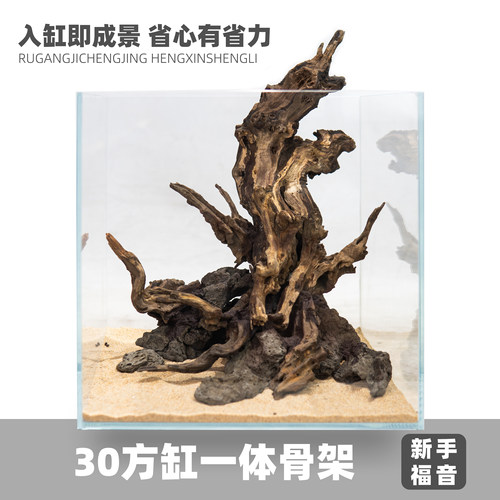 30方缸造景一体骨架发货新手福音省心省力