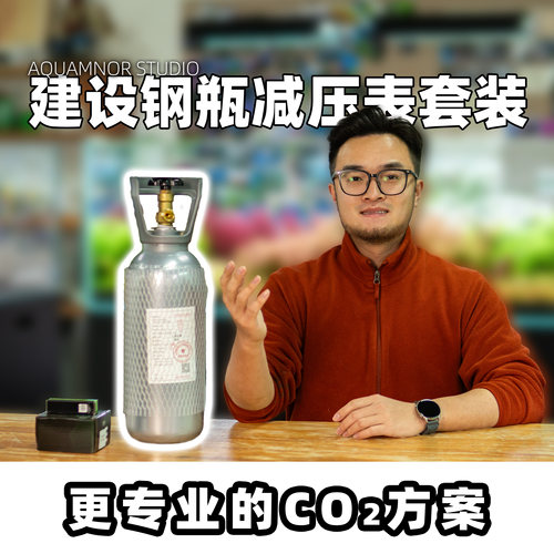 全新山东建设二氧化碳钢瓶套餐