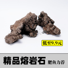 天然黑棕熔岩石火山石过滤材料 水族鱼缸水草造景石莫斯素材颗粒