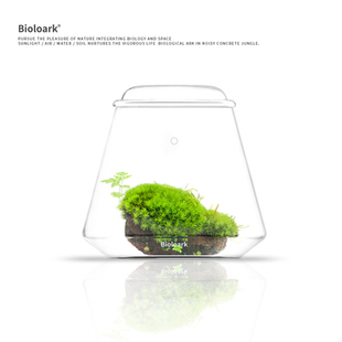 Bioloark生物方舟泡泡杯生态瓶苔藓瓶微景观桌面景观摆件玻璃绿植