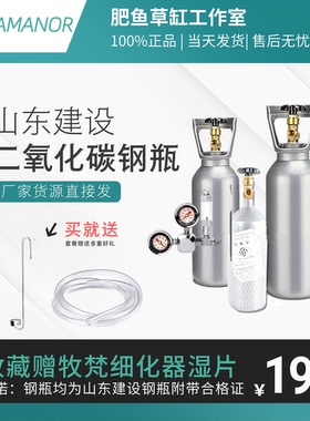 山东建设钢瓶二氧化碳鱼缸专用气瓶水草缸迪茨大双表计泡器细化器