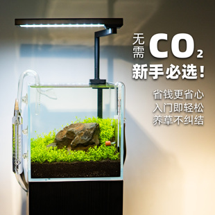 无碳水草莫斯无菌杯前景迷你牛毛日本矮珍珠椒草挖耳小水榕血心兰