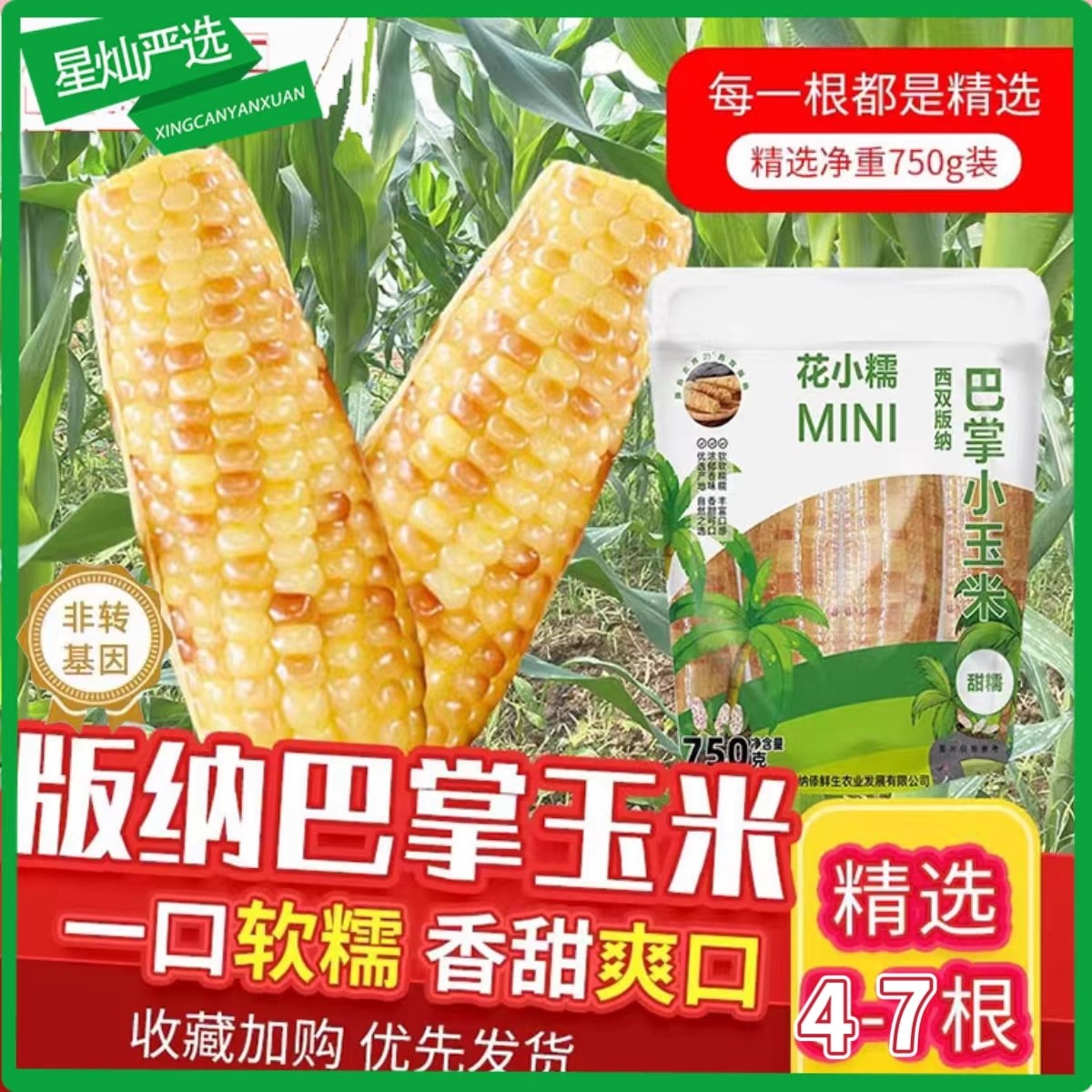 云南西双版纳香糯巴掌小玉米真空包装无添加孕妇营养粗粮750g*2袋