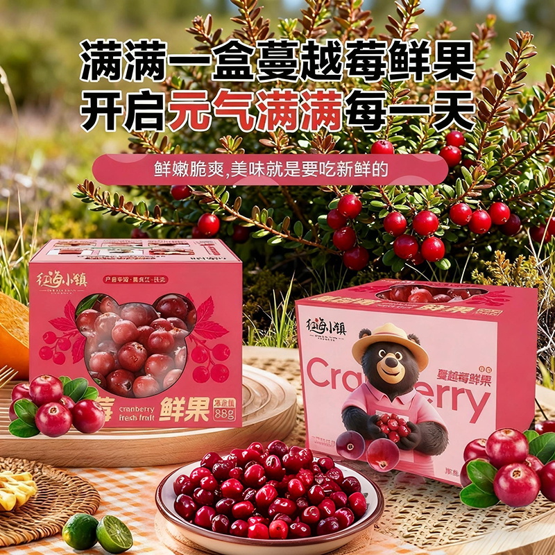 新鲜蔓越莓鲜果红海小镇女性脆酸