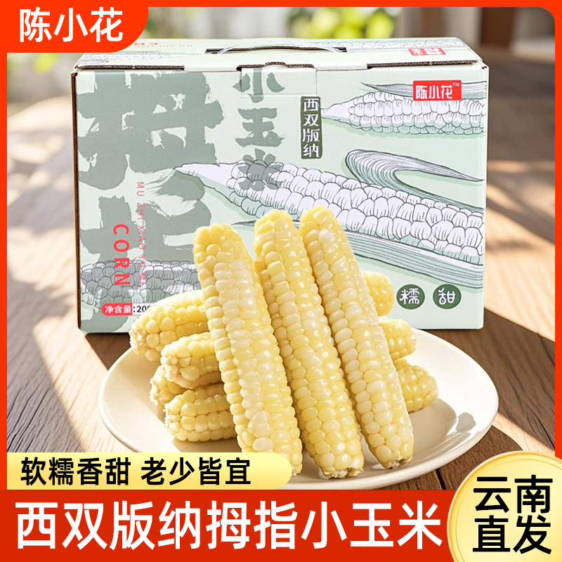 陈小花云南西双版纳小拇指玉米白糯新鲜开袋即食免煮手指糯玉米