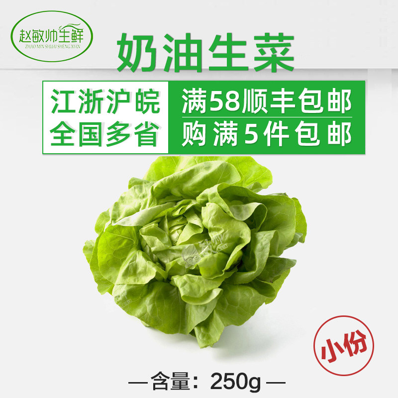 波士顿奶油生菜250g  西餐配菜 蔬菜沙拉 新鲜蔬菜5件包邮