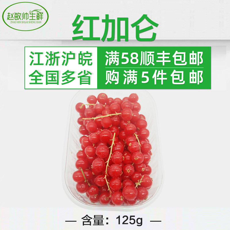 新鲜 红加仑 冷冻带茎 红加仑红醋栗 浆果200g